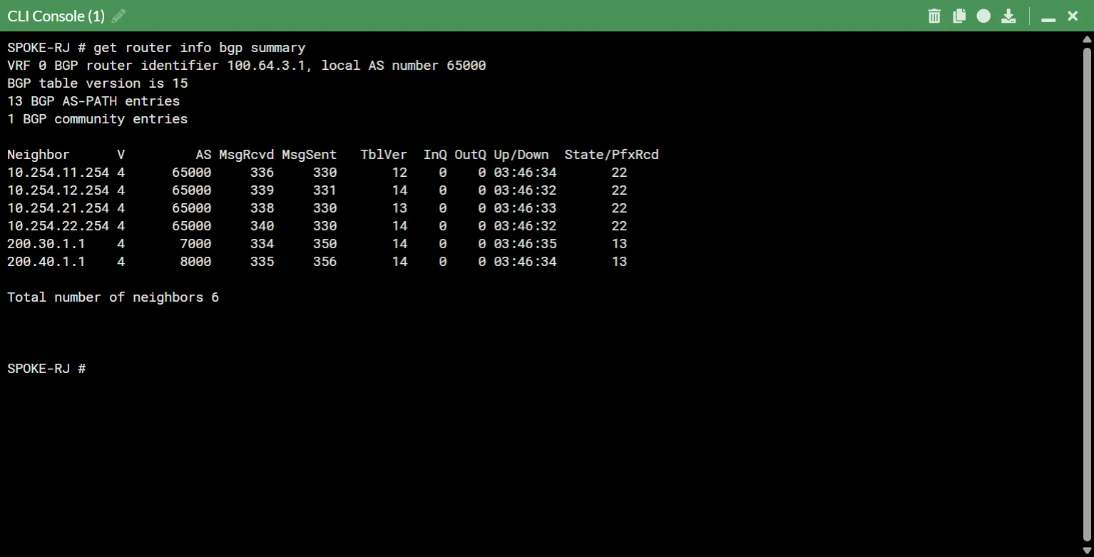 Overlay BGP summary route verification in FortiGate console